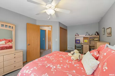 214 8th Ave, Hampton, IL 61256 photo 25