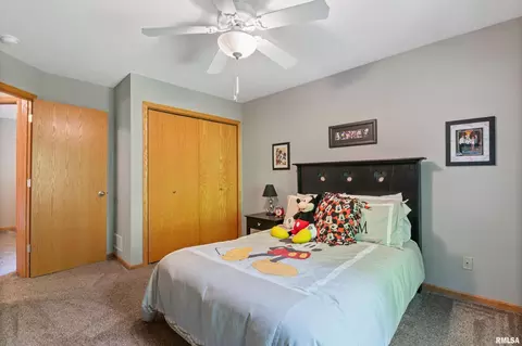 214 8th Ave, Hampton, IL 61256 photo 23