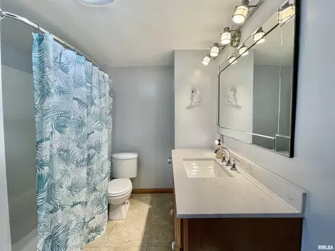 808 8th Ave, Fulton, IL 61252 photo 13