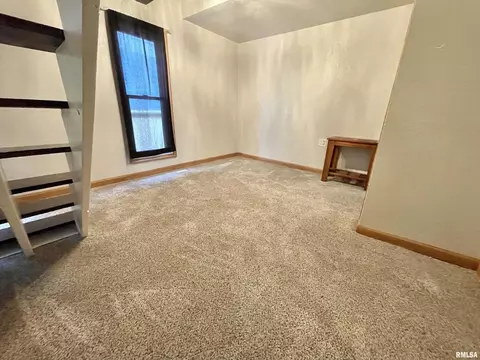 808 8th Ave, Fulton, IL 61252 photo 16