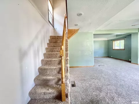 808 8th Ave, Fulton, IL 61252 photo 6