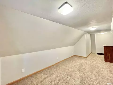 808 8th Ave, Fulton, IL 61252 photo 20