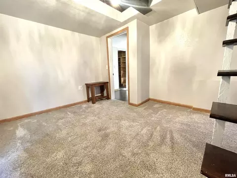 808 8th Ave, Fulton, IL 61252 photo 17
