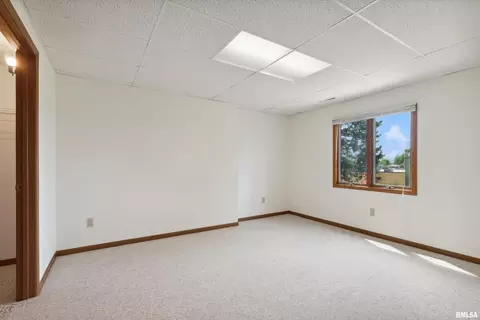 1308 4th Ave, Fulton, IL 61252 photo 25
