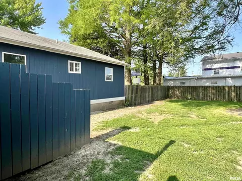 1105 17th Avenue Pl, Viola, IL 61486 photo 13
