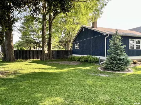 1105 17th Avenue Pl, Viola, IL 61486 photo 9