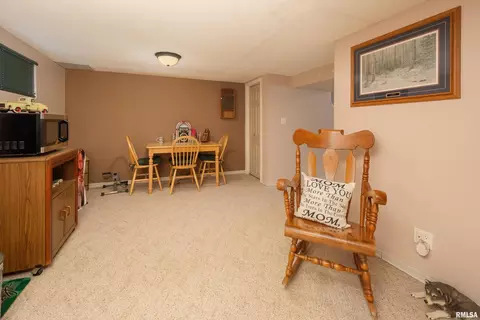 405 9th Ave, Silvis, IL 61282 photo 21