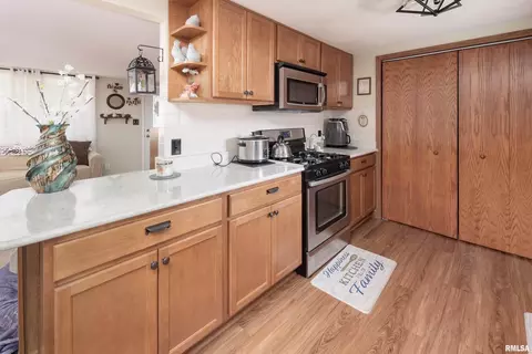 1305 8th Street Ct, Hampton, IL 61256 photo 14