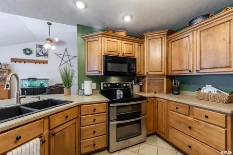 21 Deer Run, Herrin, IL 62948 photo 10