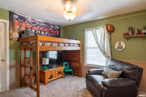 21 Deer Run, Herrin, IL 62948 photo 17