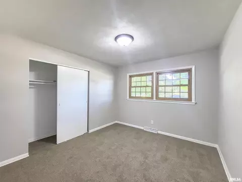 217 E 9th Ave, Colona, IL 61241 photo 13