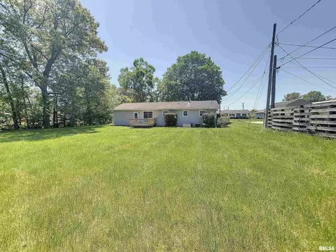 217 E 9th Ave, Colona, IL 61241 photo 26