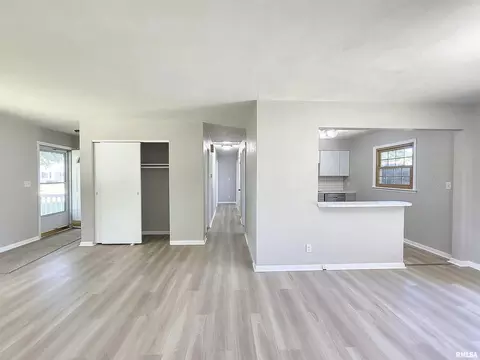 217 E 9th Ave, Colona, IL 61241 photo 8