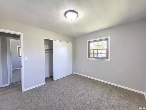217 E 9th Ave, Colona, IL 61241 photo 17