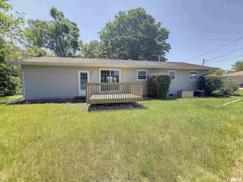 217 E 9th Ave, Colona, IL 61241 photo 27