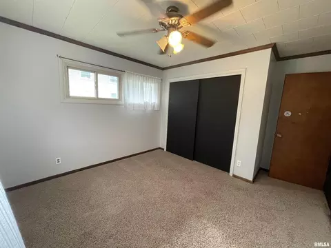 504 17th Ave, Fulton, IL 61252 photo 7
