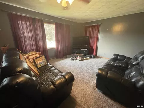 504 17th Ave, Fulton, IL 61252 photo 2