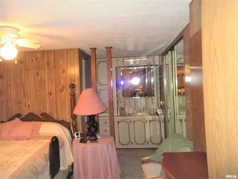 22815 243rd St, Eldridge, IA 52748 photo 13