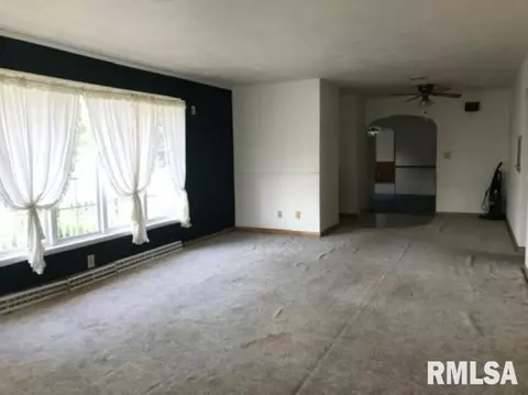 107 E Front St, Annawan, IL 61234 photo 10