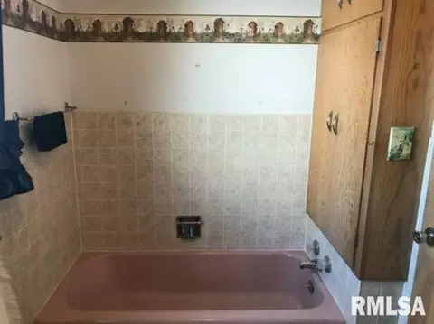 107 E Front St, Annawan, IL 61234 photo 26