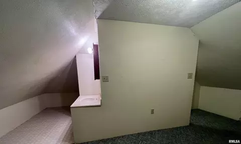 119 W Pulley St, Hurst, IL 62949 photo 26