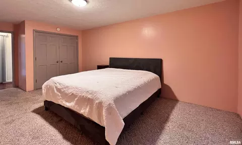 119 W Pulley St, Hurst, IL 62949 photo 15