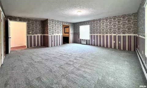 119 W Pulley St, Hurst, IL 62949 photo 14