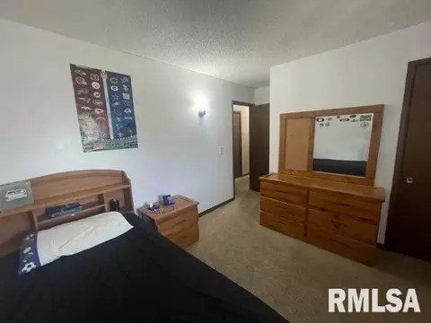 457 Circle Dr, Kewanee, IL 61443 photo 39