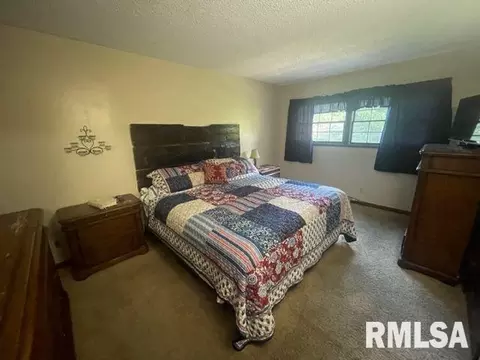 457 Circle Dr, Kewanee, IL 61443 photo 40