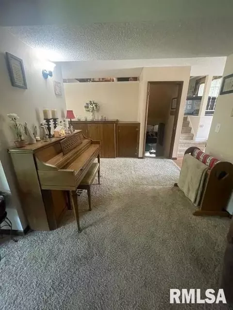 457 Circle Dr, Kewanee, IL 61443 photo 77