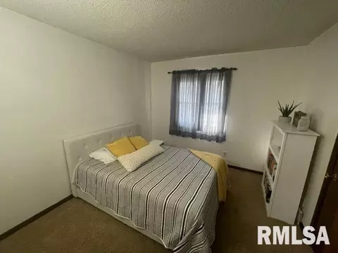 457 Circle Dr, Kewanee, IL 61443 photo 34