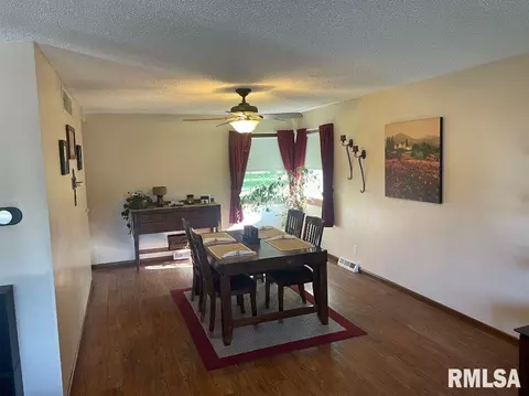 457 Circle Dr, Kewanee, IL 61443 photo 19