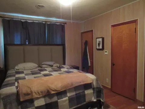 310 N Scandia St, Alpha, IL 61413 photo 9