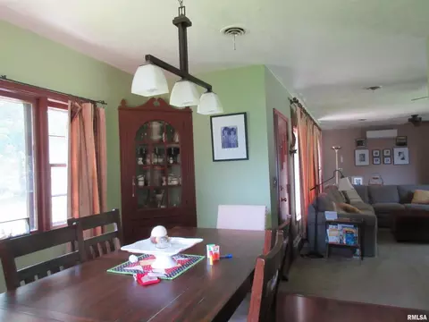 310 N Scandia St, Alpha, IL 61413 photo 5