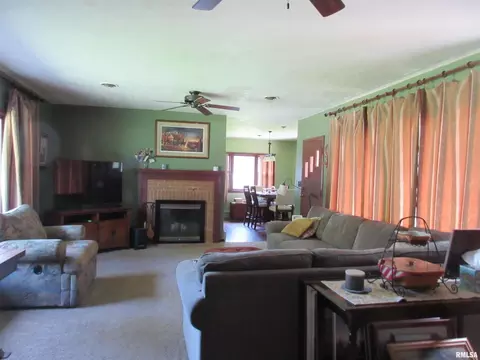 310 N Scandia St, Alpha, IL 61413 photo 7
