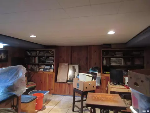 310 N Scandia St, Alpha, IL 61413 photo 12