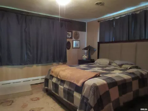 310 N Scandia St, Alpha, IL 61413 photo 8