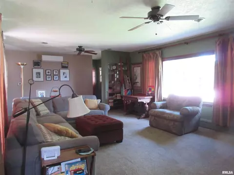 310 N Scandia St, Alpha, IL 61413 photo 6