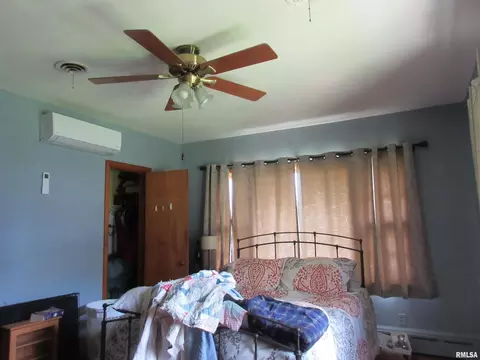 310 N Scandia St, Alpha, IL 61413 photo 11