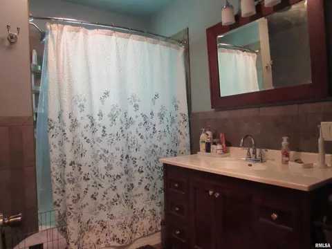 310 N Scandia St, Alpha, IL 61413 photo 10