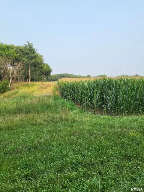 5000 Block 162nd Ave, Milan, IL 61264