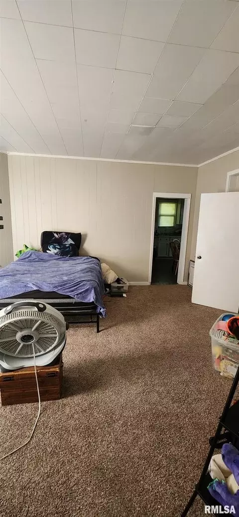 705 25th St, Moline, IL 61265 photo 15