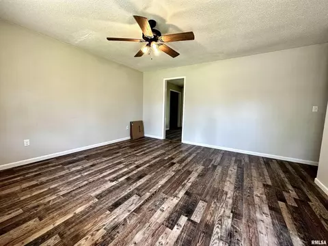 1204 Academy St, Eldorado, IL 62930 photo 4