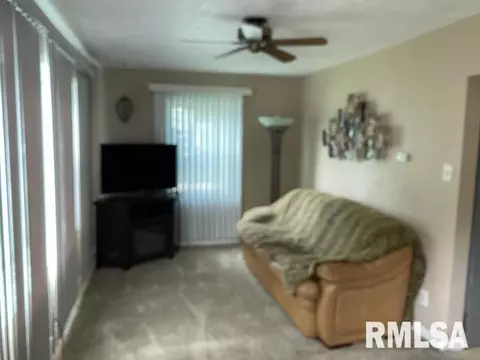 621 3rd Ave, Hampton, IL 61256 photo 12