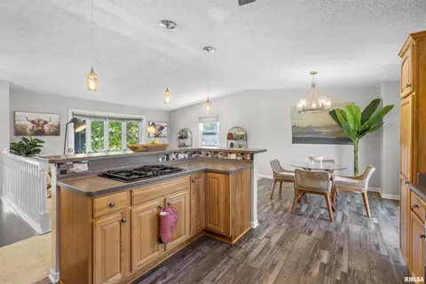 1103 35th St, Moline, IL 61265 photo 8