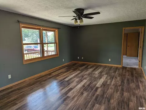 207 E 4th St, Mineral, IL 61344 photo 3