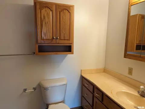 207 E 4th St, Mineral, IL 61344 photo 8