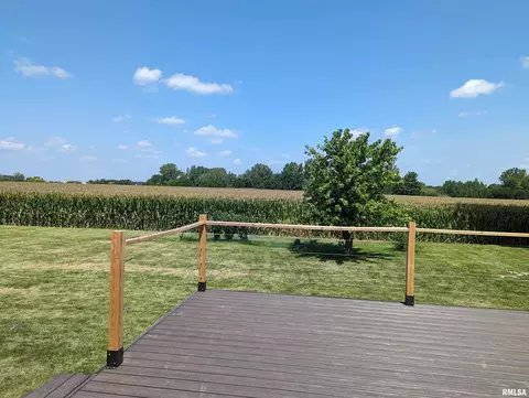 207 E 4th St, Mineral, IL 61344 photo 13