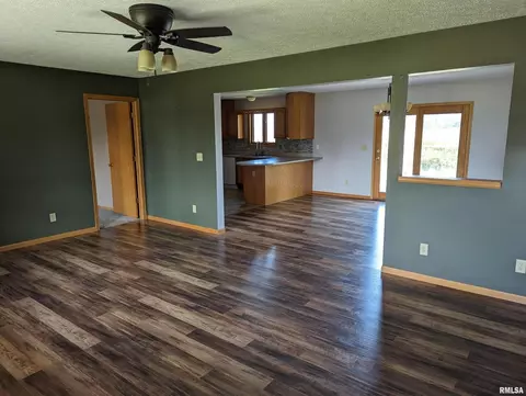 207 E 4th St, Mineral, IL 61344 photo 2
