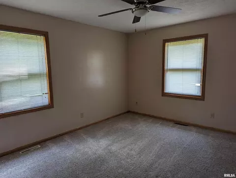 207 E 4th St, Mineral, IL 61344 photo 11